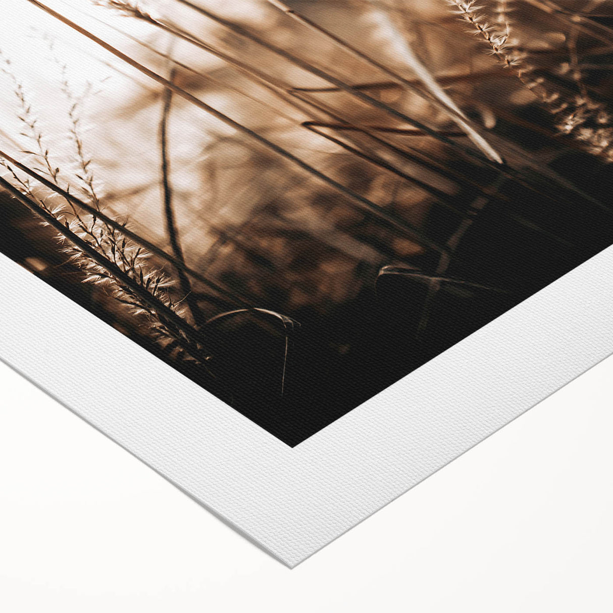 Farmhouse Wall Art – Serene Tall Grass in Nature – Rustic Decor