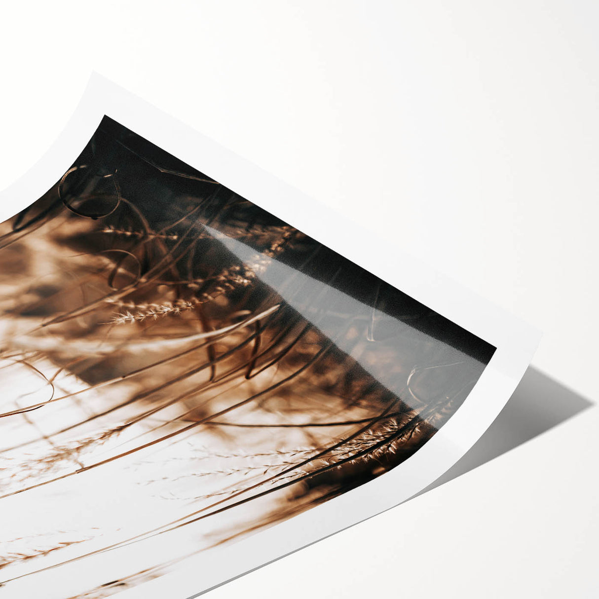 Farmhouse Wall Art – Serene Tall Grass in Nature – Rustic Decor