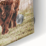 Farmhouse Wall Art – Majestic Highland Cow Portrait – Rustic Country Decor