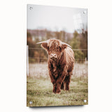 Farmhouse Wall Art – Majestic Highland Cow Portrait – Rustic Country Decor