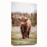 Farmhouse Wall Art – Majestic Highland Cow Portrait – Rustic Country Decor