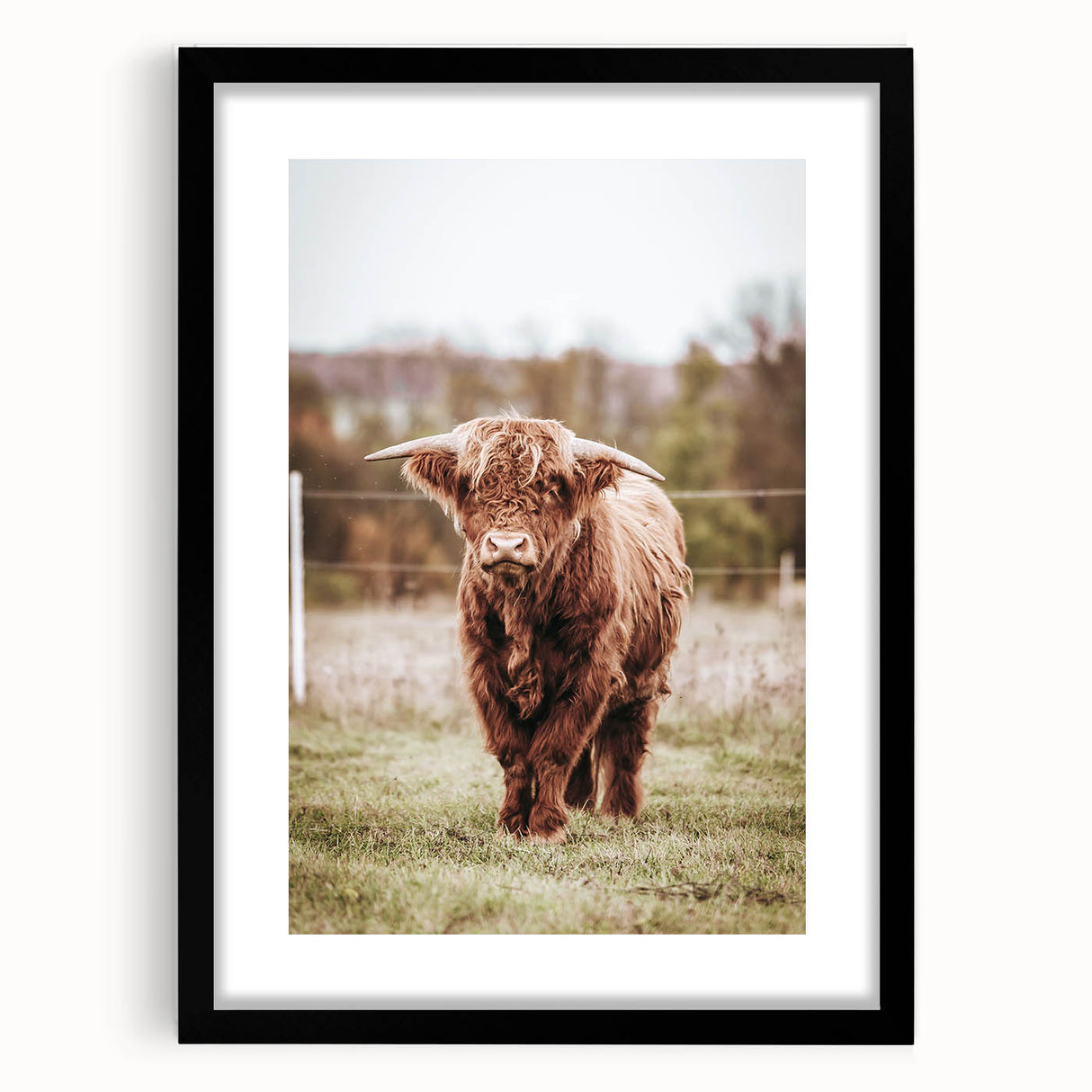 Farmhouse Wall Art – Majestic Highland Cow Portrait – Rustic Country Decor