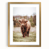 Farmhouse Wall Art – Majestic Highland Cow Portrait – Rustic Country Decor