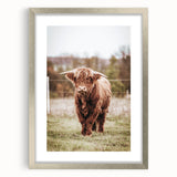 Farmhouse Wall Art – Majestic Highland Cow Portrait – Rustic Country Decor