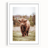 Farmhouse Wall Art – Majestic Highland Cow Portrait – Rustic Country Decor
