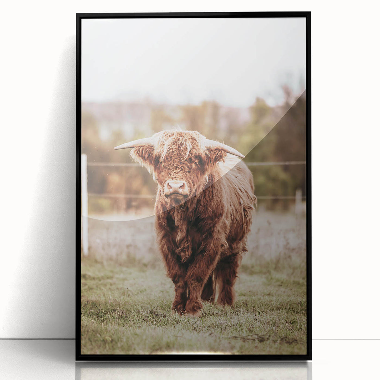 Farmhouse Wall Art – Majestic Highland Cow Portrait – Rustic Country Decor