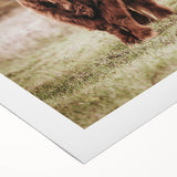 Farmhouse Wall Art – Majestic Highland Cow Portrait – Rustic Country Decor