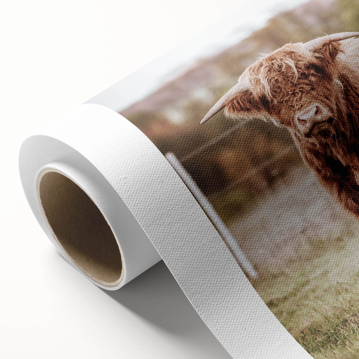 Farmhouse Wall Art – Majestic Highland Cow Portrait – Rustic Country Decor