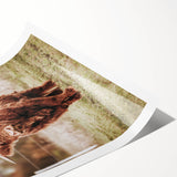 Farmhouse Wall Art – Majestic Highland Cow Portrait – Rustic Country Decor