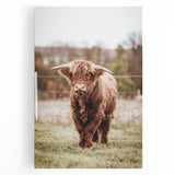 Farmhouse Wall Art – Majestic Highland Cow Portrait – Rustic Country Decor