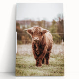 Farmhouse Wall Art – Majestic Highland Cow Portrait – Rustic Country Decor