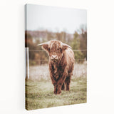 Farmhouse Wall Art – Majestic Highland Cow Portrait – Rustic Country Decor