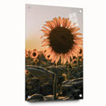 Farmhouse Wall Art – Sunflower at Sunset – Rustic Country Decor