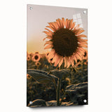 Farmhouse Wall Art – Sunflower at Sunset – Rustic Country Decor