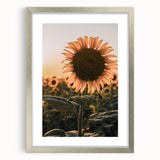 Farmhouse Wall Art – Sunflower at Sunset – Rustic Country Decor