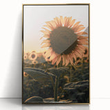 Farmhouse Wall Art – Sunflower at Sunset – Rustic Country Decor