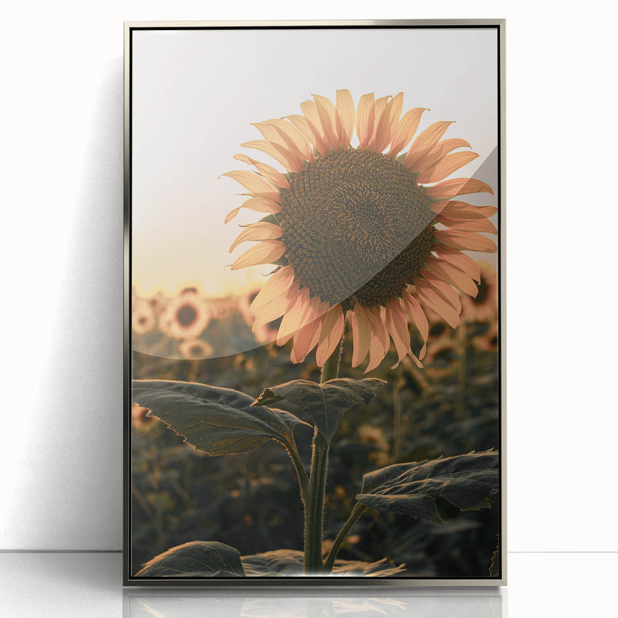 Farmhouse Wall Art – Sunflower at Sunset – Rustic Country Decor
