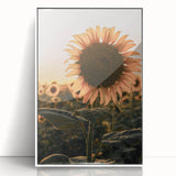 Farmhouse Wall Art – Sunflower at Sunset – Rustic Country Decor