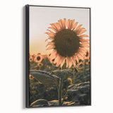 Farmhouse Wall Art – Sunflower at Sunset – Rustic Country Decor