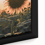 Farmhouse Wall Art – Sunflower at Sunset – Rustic Country Decor
