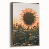 Farmhouse Wall Art – Sunflower at Sunset – Rustic Country Decor