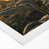 Farmhouse Wall Art – Sunflower at Sunset – Rustic Country Decor