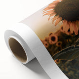 Farmhouse Wall Art – Sunflower at Sunset – Rustic Country Decor