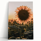 Farmhouse Wall Art – Sunflower at Sunset – Rustic Country Decor