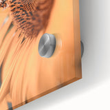 Farmhouse Wall Art – Sunflower and Bee Close-Up – Rustic Country Decor