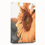 Farmhouse Wall Art – Sunflower and Bee Close-Up – Rustic Country Decor
