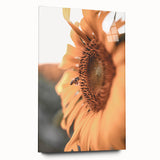 Farmhouse Wall Art – Sunflower and Bee Close-Up – Rustic Country Decor