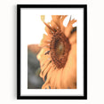 Farmhouse Wall Art – Sunflower and Bee Close-Up – Rustic Country Decor