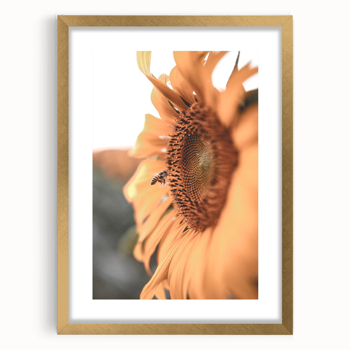 Farmhouse Wall Art – Sunflower and Bee Close-Up – Rustic Country Decor