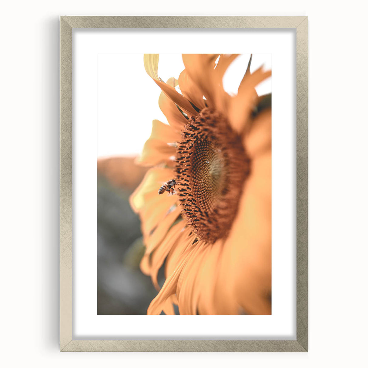 Farmhouse Wall Art – Sunflower and Bee Close-Up – Rustic Country Decor