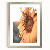 Farmhouse Wall Art – Sunflower and Bee Close-Up – Rustic Country Decor