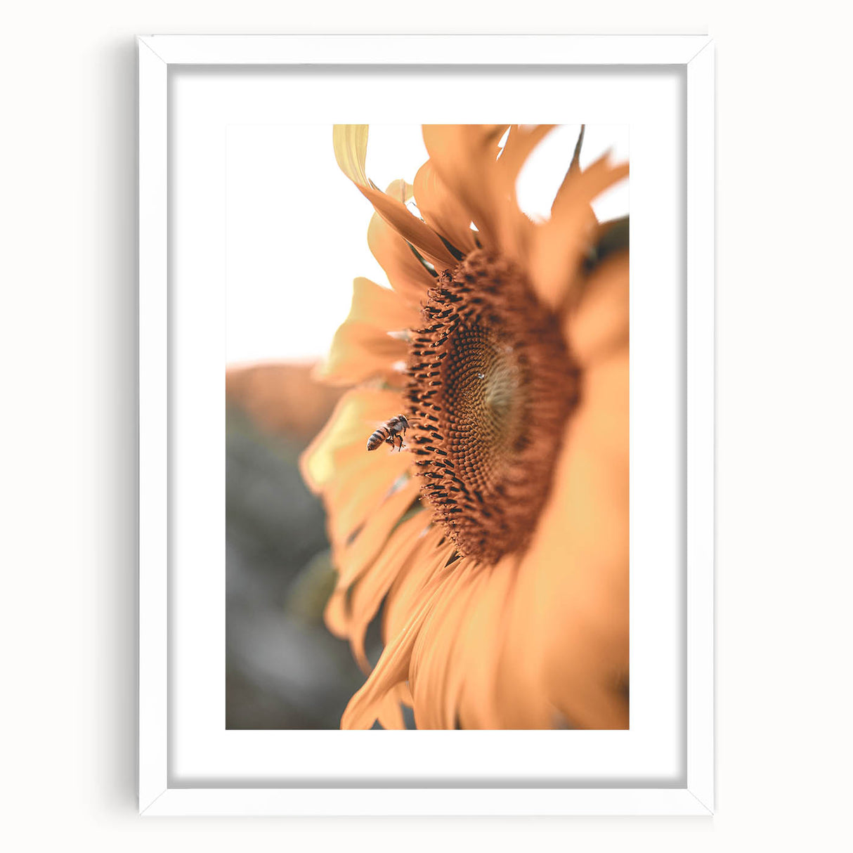 Farmhouse Wall Art – Sunflower and Bee Close-Up – Rustic Country Decor