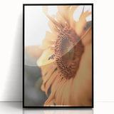 Farmhouse Wall Art – Sunflower and Bee Close-Up – Rustic Country Decor
