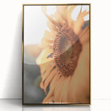 Farmhouse Wall Art – Sunflower and Bee Close-Up – Rustic Country Decor