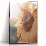 Farmhouse Wall Art – Sunflower and Bee Close-Up – Rustic Country Decor