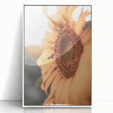 Farmhouse Wall Art – Sunflower and Bee Close-Up – Rustic Country Decor