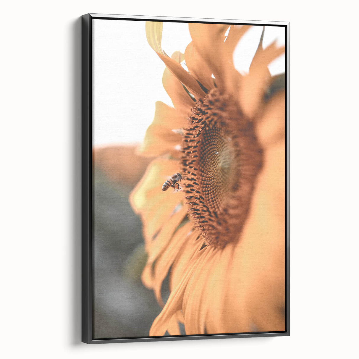 Farmhouse Wall Art – Sunflower and Bee Close-Up – Rustic Country Decor