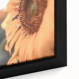 Farmhouse Wall Art – Sunflower and Bee Close-Up – Rustic Country Decor