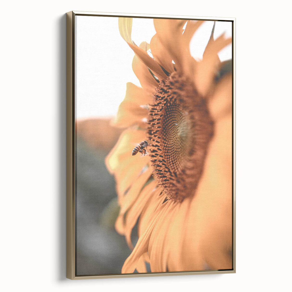 Farmhouse Wall Art – Sunflower and Bee Close-Up – Rustic Country Decor