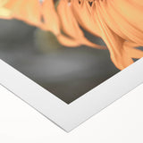 Farmhouse Wall Art – Sunflower and Bee Close-Up – Rustic Country Decor