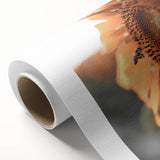 Farmhouse Wall Art – Sunflower and Bee Close-Up – Rustic Country Decor