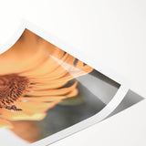 Farmhouse Wall Art – Sunflower and Bee Close-Up – Rustic Country Decor