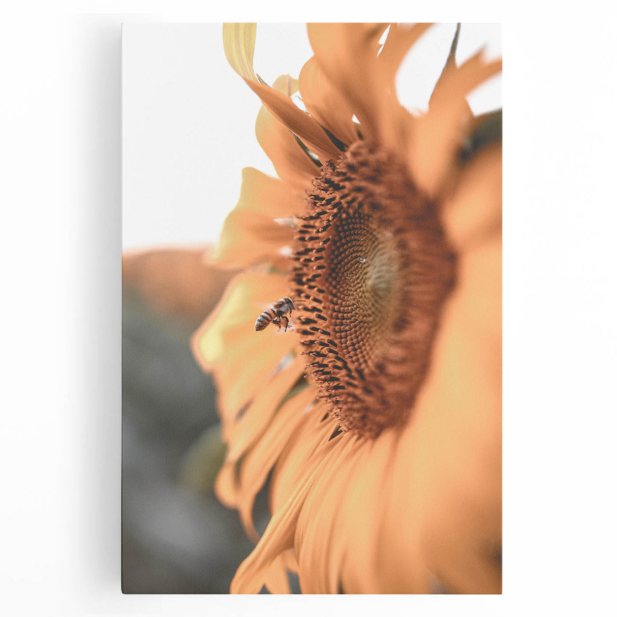 Farmhouse Wall Art – Sunflower and Bee Close-Up – Rustic Country Decor