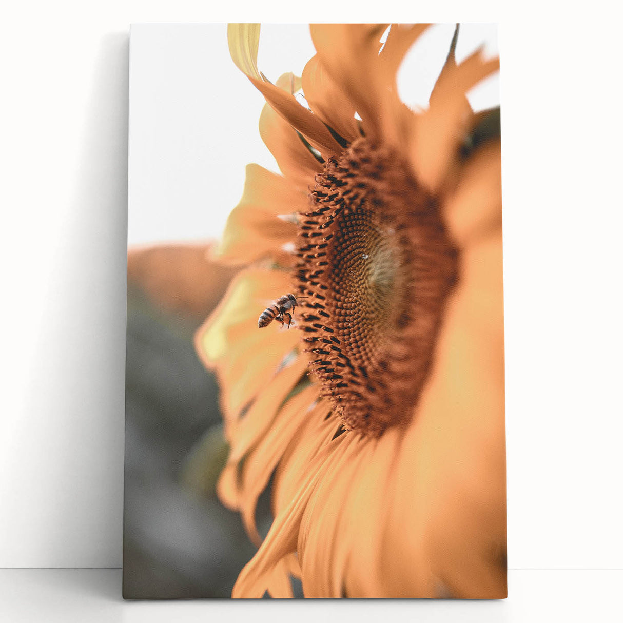 Farmhouse Wall Art – Sunflower and Bee Close-Up – Rustic Country Decor