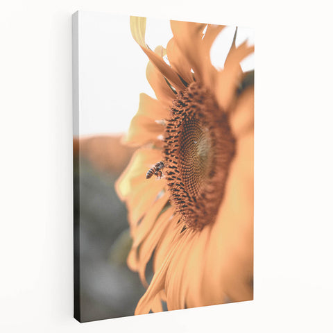 Farmhouse Wall Art – Sunflower and Bee Close-Up – Rustic Country Decor
