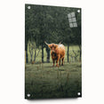 Farmhouse Wall Art – Highland Cow in Lush Field – Rustic Country Decor